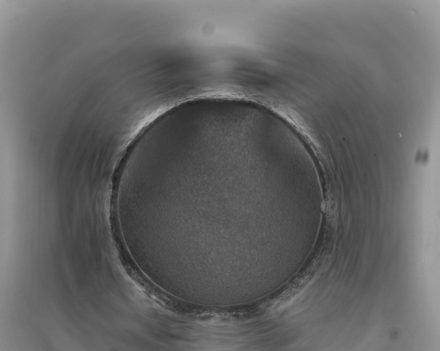 X0000094340434200711091432