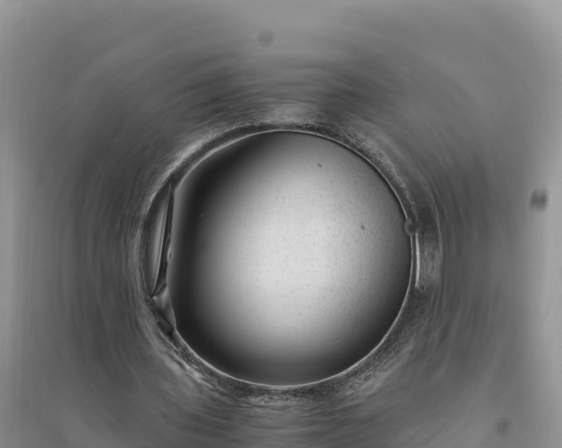 X0000094340435200711091432