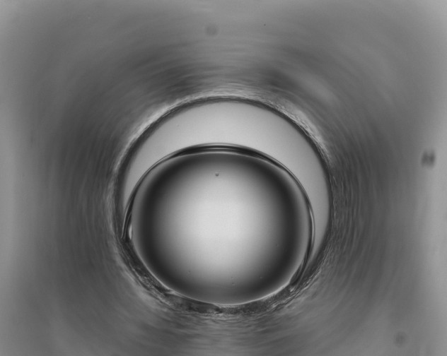 X0000094340436200711091432