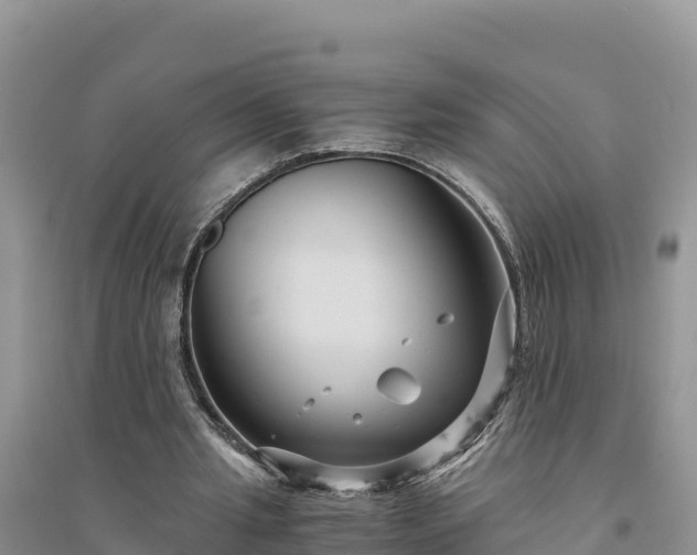 X0000094340437200711091432