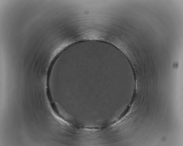 X0000094340438200711091432