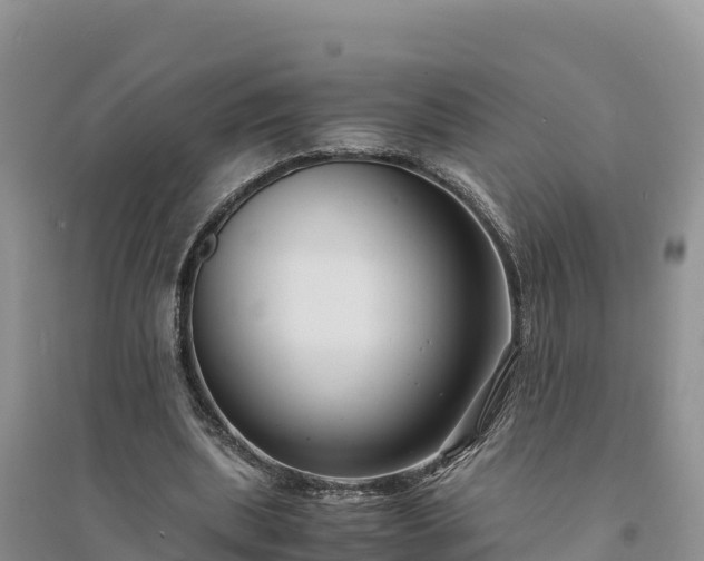 X0000094340439200711091432