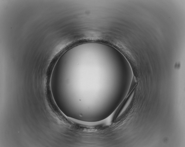 X0000094340440200711091432