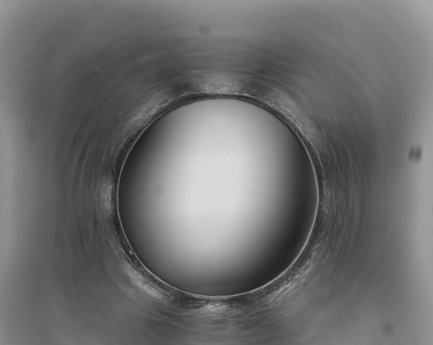 X0000094340441200711091432