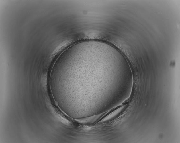 X0000094340442200711091432
