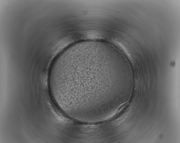 X0000094340443200711091432
