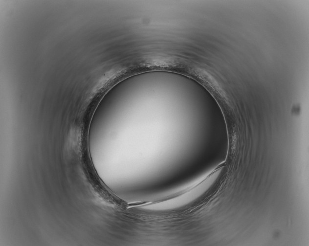 X0000094340444200711091432