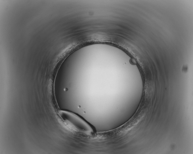 X0000094340445200711091432