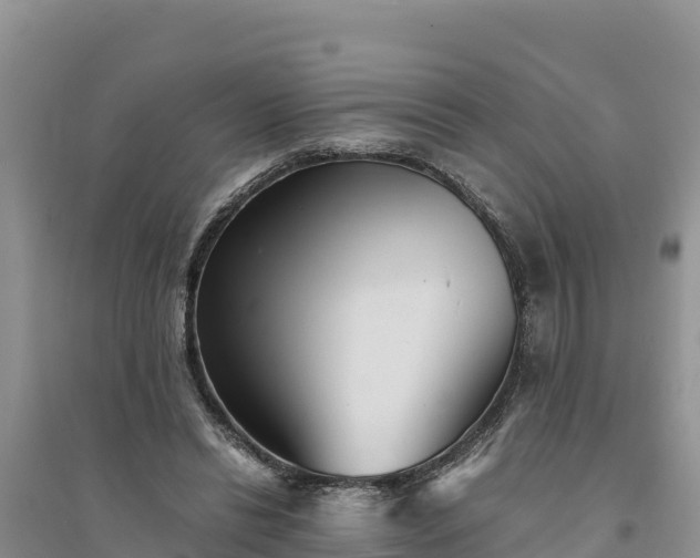 X0000094340446200711091432
