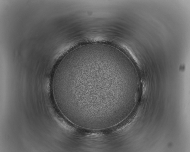 X0000094340447200711091432