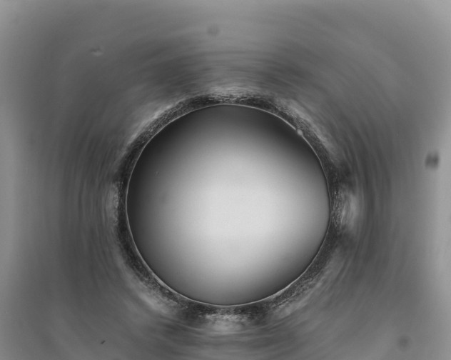 X0000094340448200711091432