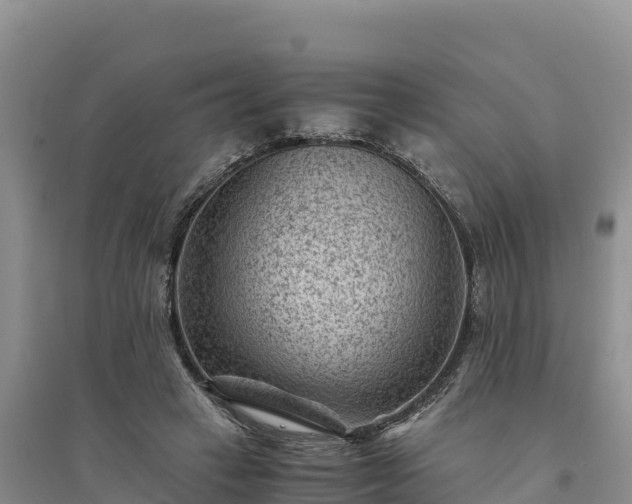X0000094340449200711091433