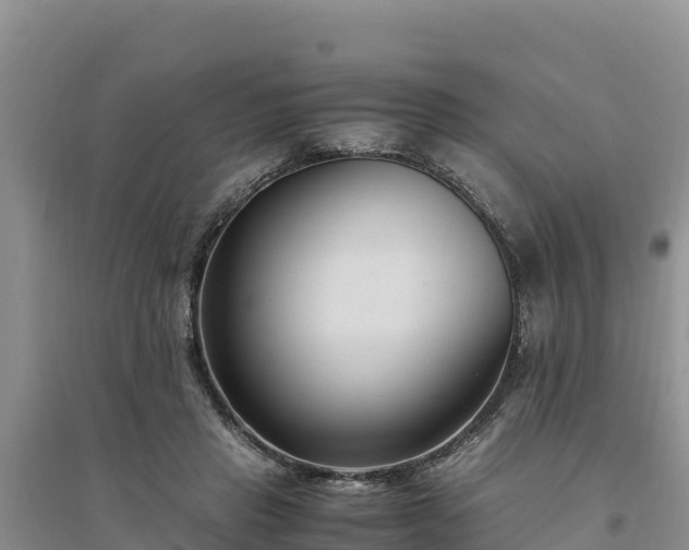 X0000094340453200711091433