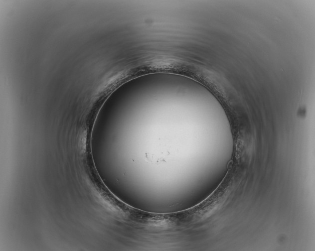 X0000094340454200711091433