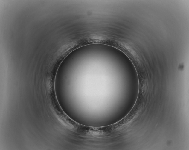 X0000094340455200711091433