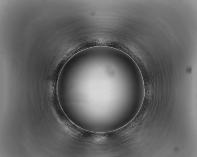 X0000094340456200711091433