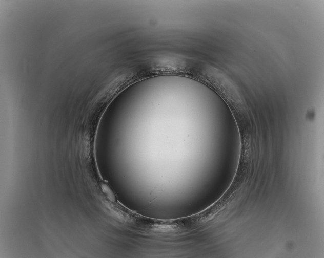 X0000094340457200711091433