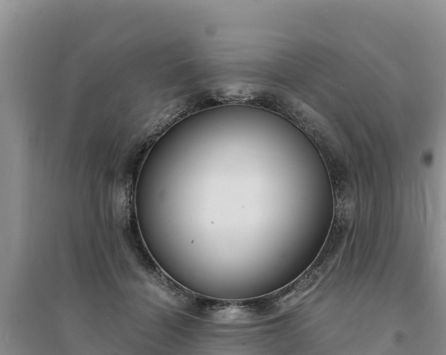 X0000094340460200711091433