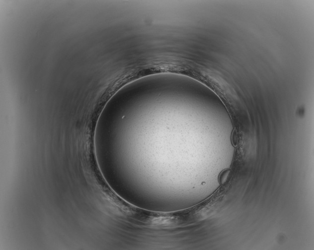 X0000094340461200711091433