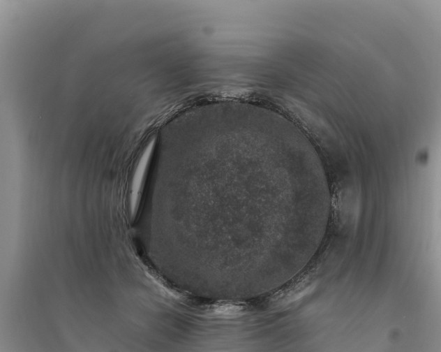 X0000094340462200711091433