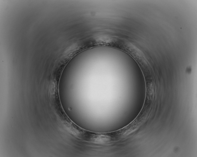 X0000094340463200711091433