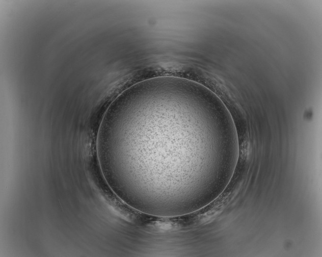 X0000094340464200711091433