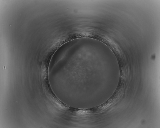 X0000094340465200711091433