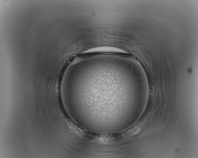 X0000094340466200711091433