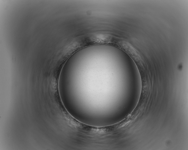 X0000094340469200711091433