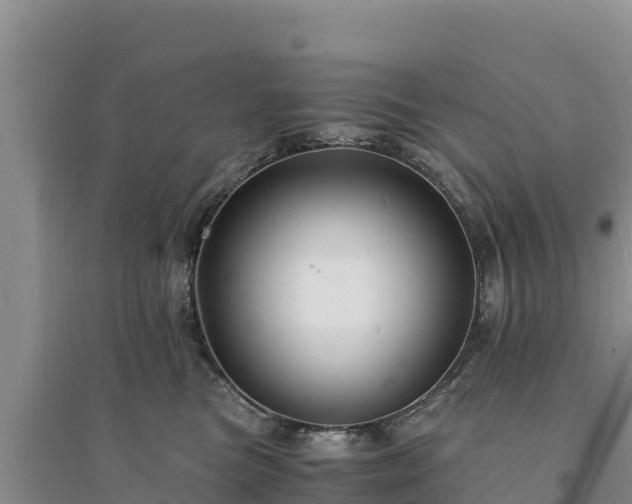 X0000094340473200711091433