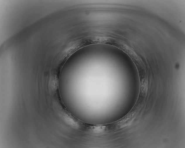 X0000094340474200711091433