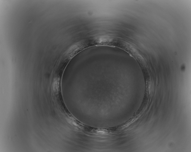 X0000094340475200711091433