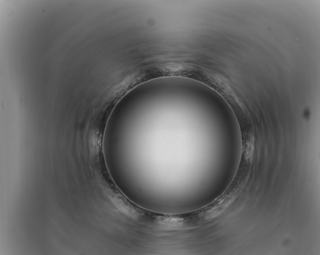 X0000094340476200711091433