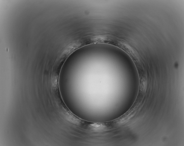 X0000094340477200711091433
