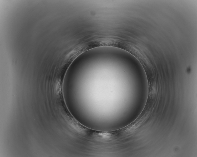 X0000094340478200711091433