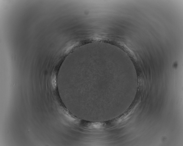 X0000094340479200711091433