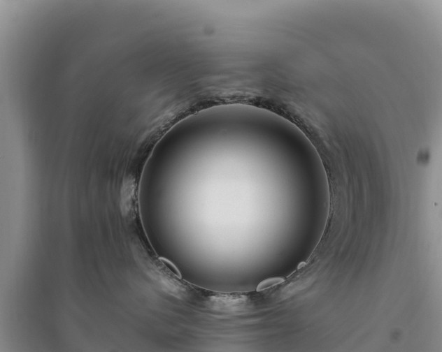 X0000094340480200711091433
