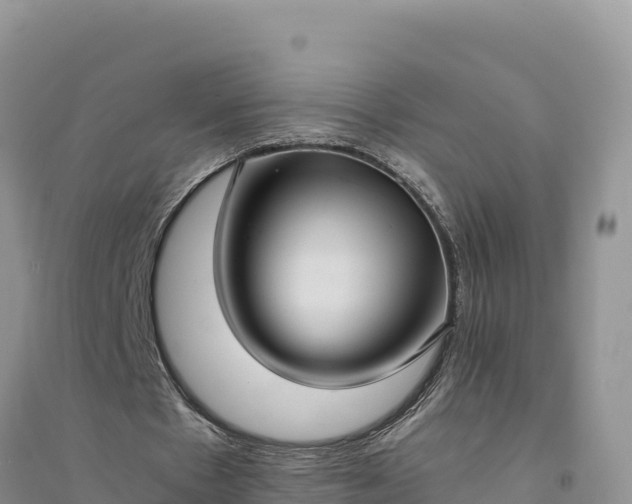 X0000094340481200711091432