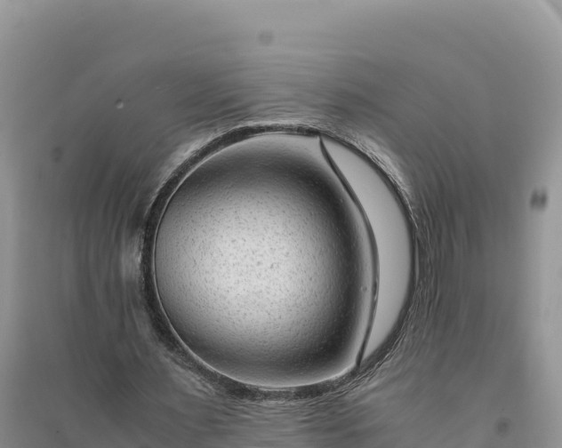 X0000094340483200711091432