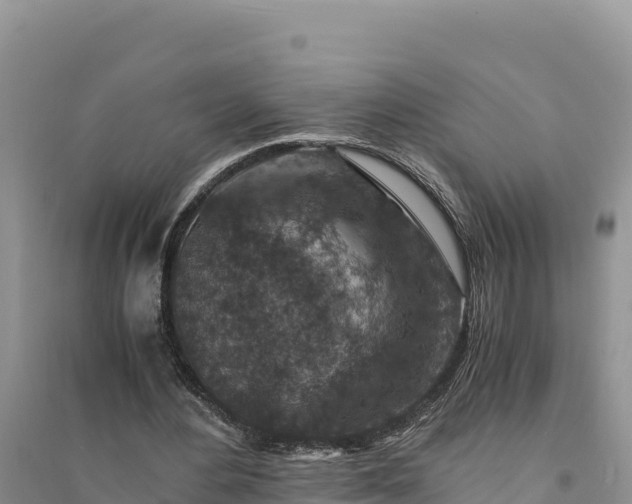 X0000094340484200711091432