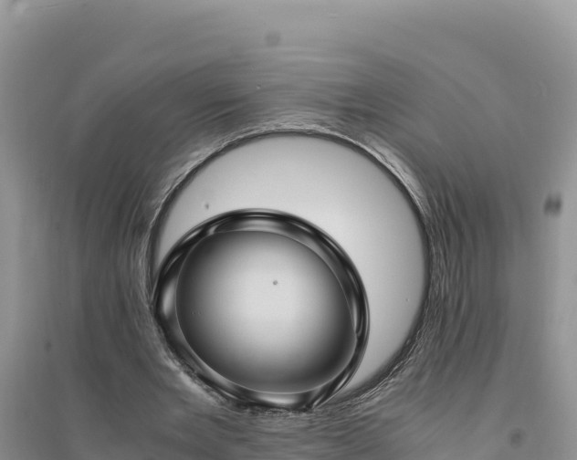 X0000094340485200711091432