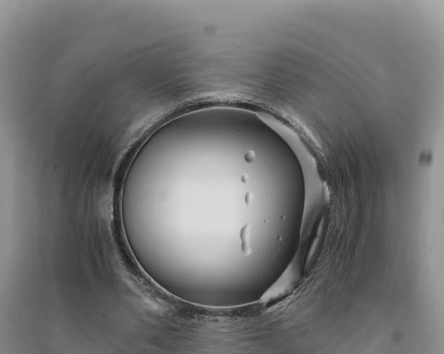 X0000094340486200711091432
