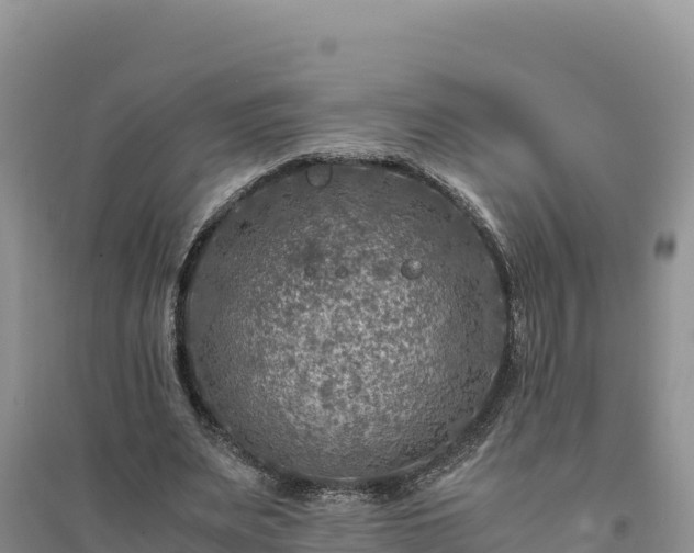 X0000094340487200711091432