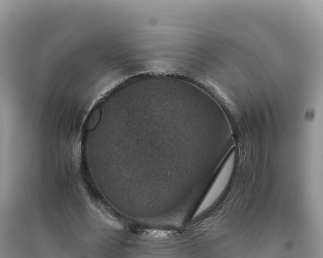 X0000094340488200711091432