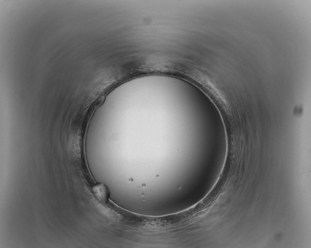 X0000094340489200711091432