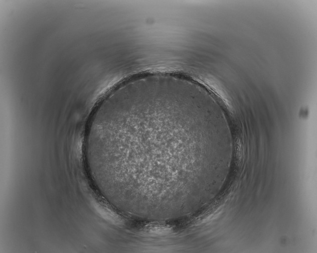 X0000094340491200711091432