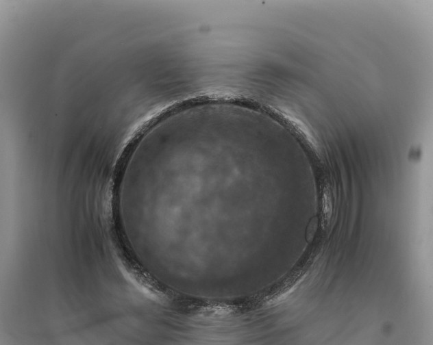 X0000094340492200711091432