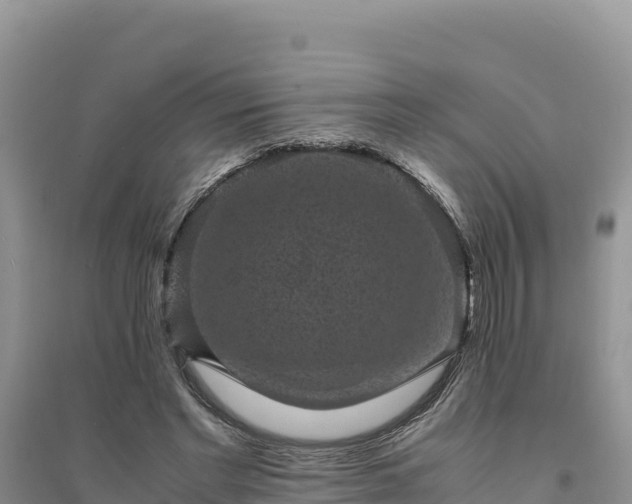 X0000094340493200711091432
