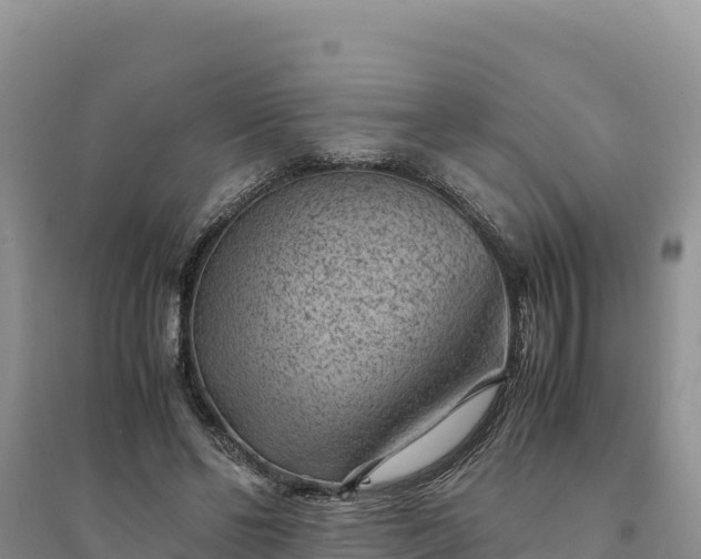 X0000094340494200711091432