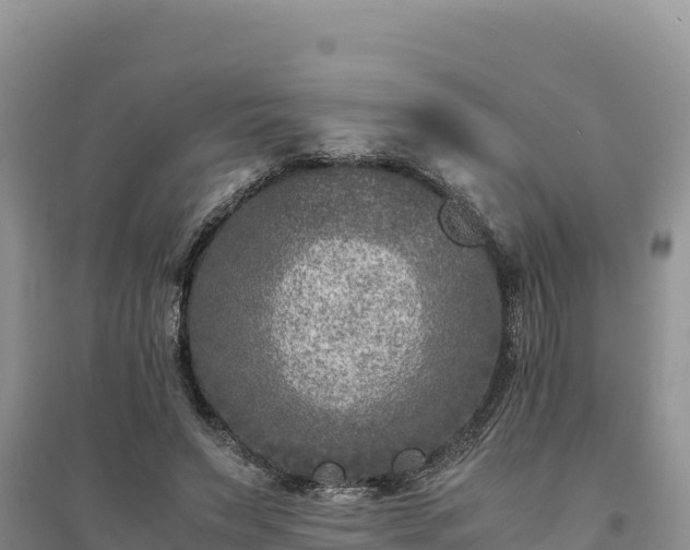 X0000094340495200711091432